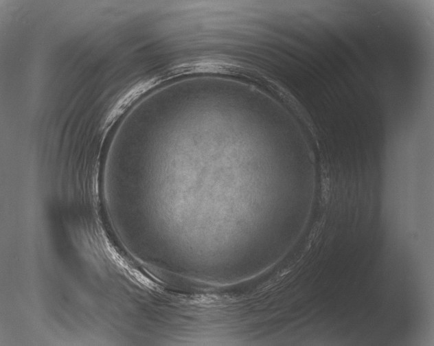X0000086000938200703231141