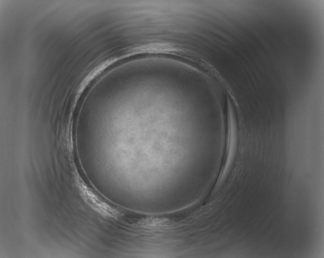 X0000086000939200703231141