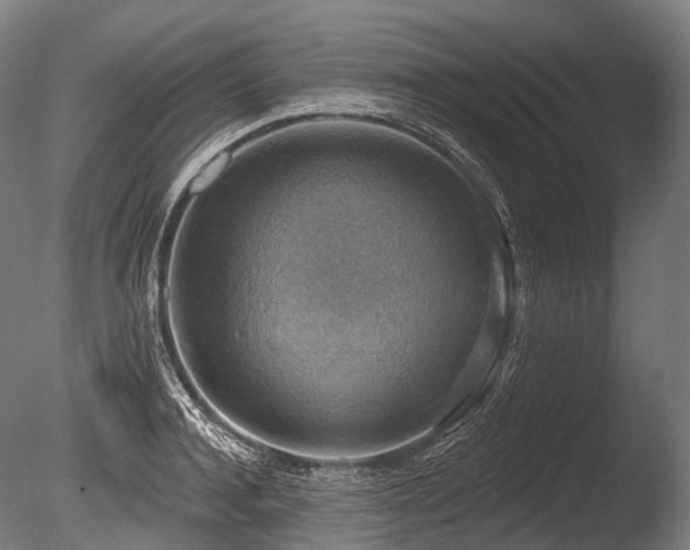 X0000086000944200703231141