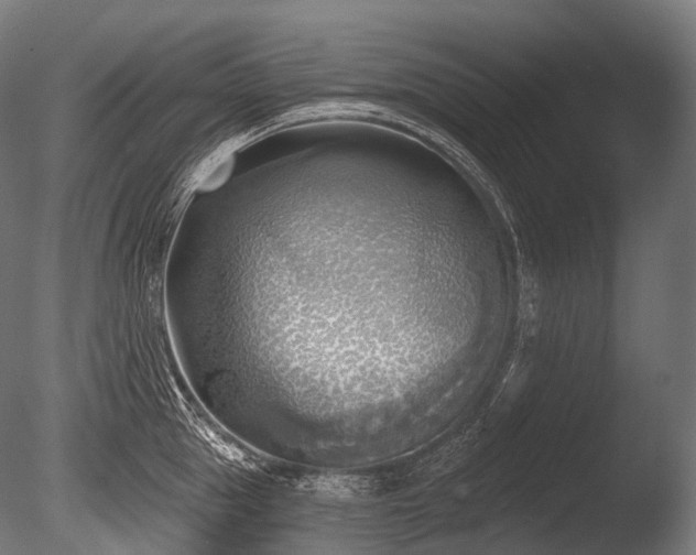 X0000086000953200703231141