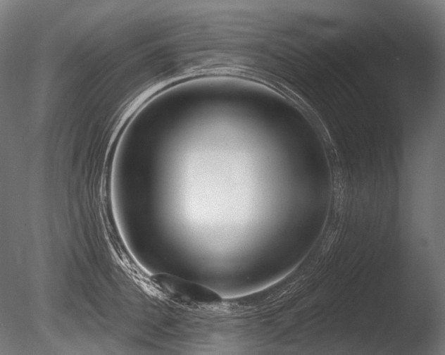X0000086000956200703231141
