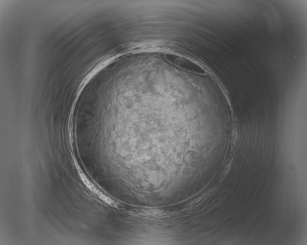 X0000086000957200703231142