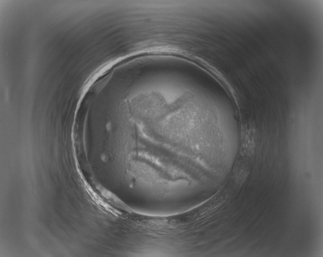 X0000086000959200703231142