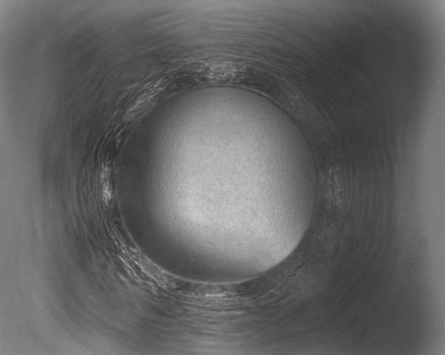 X0000086000962200703231141