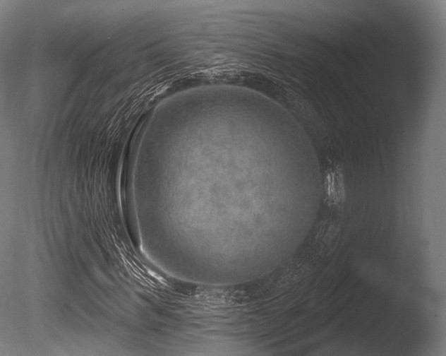 X0000086000963200703231141