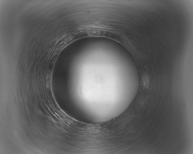 X0000086000964200703231141