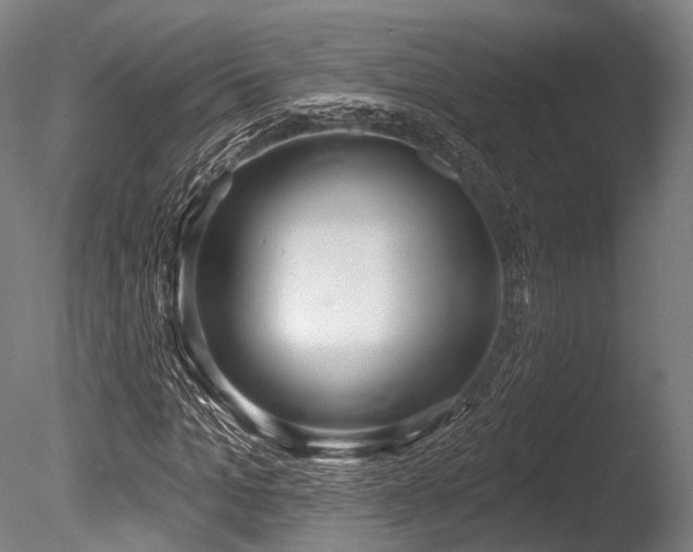 X0000086000965200703231141