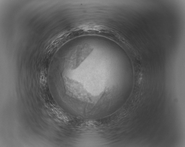 X0000086000966200703231141