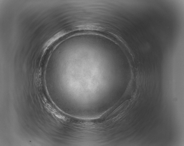 X0000086000971200703231141