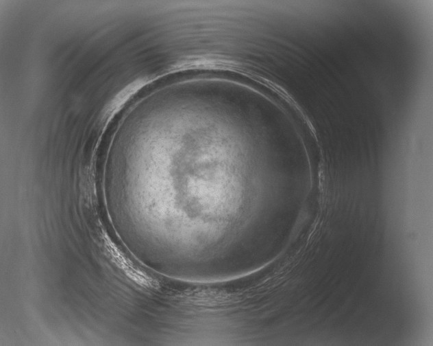 X0000086000972200703231141
