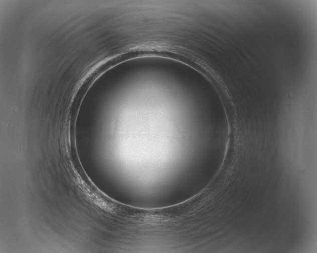 X0000086000984200703231140