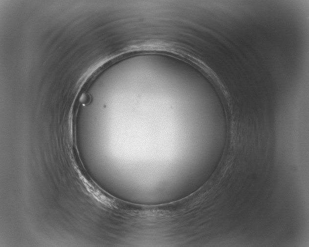 X0000086000988200703231140