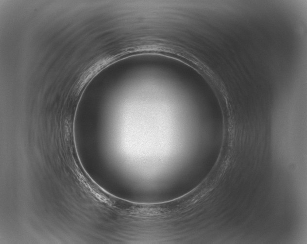 X0000086000993200703231140