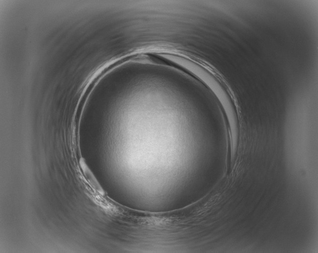 X0000086000996200703231140