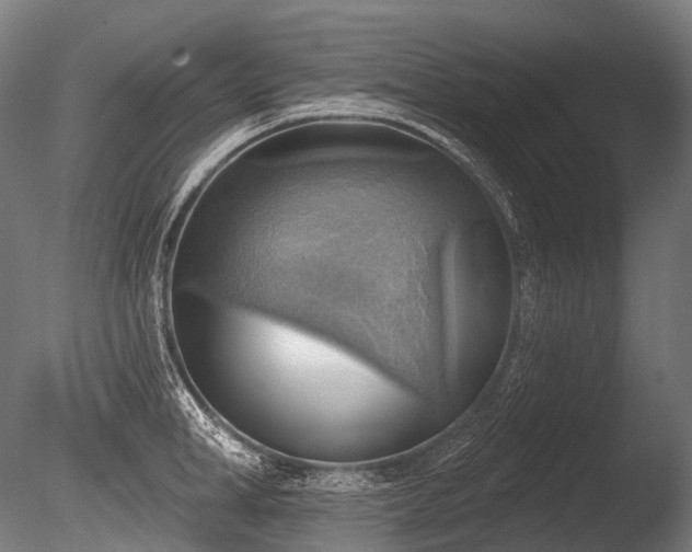 X0000086000998200703231140
