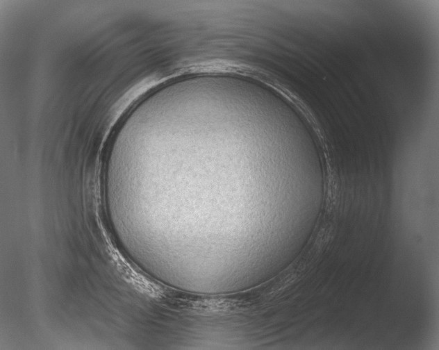 X0000086001000200703231140