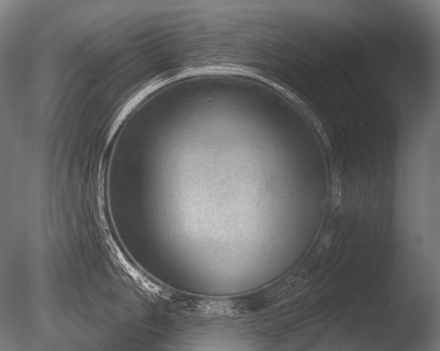 X0000086001006200703231140