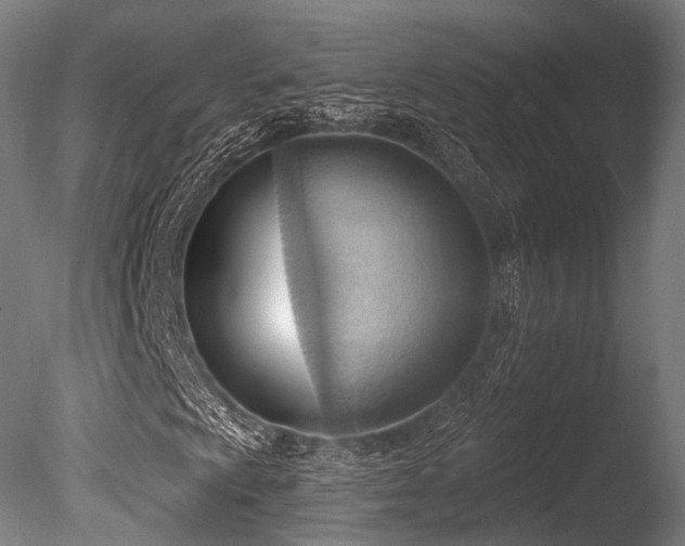 X0000086001009200703231139