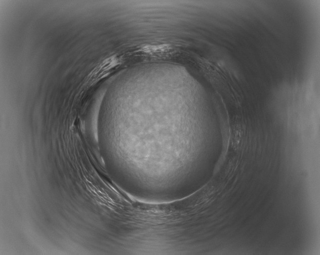 X0000086001010200703231139