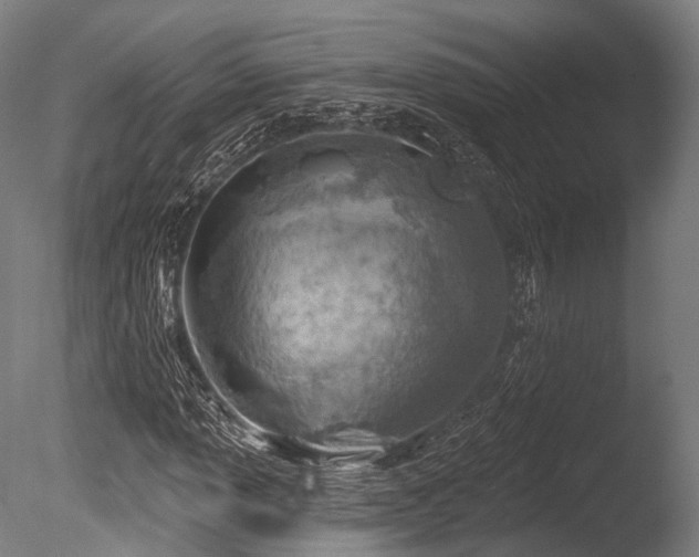 X0000086001013200703231139