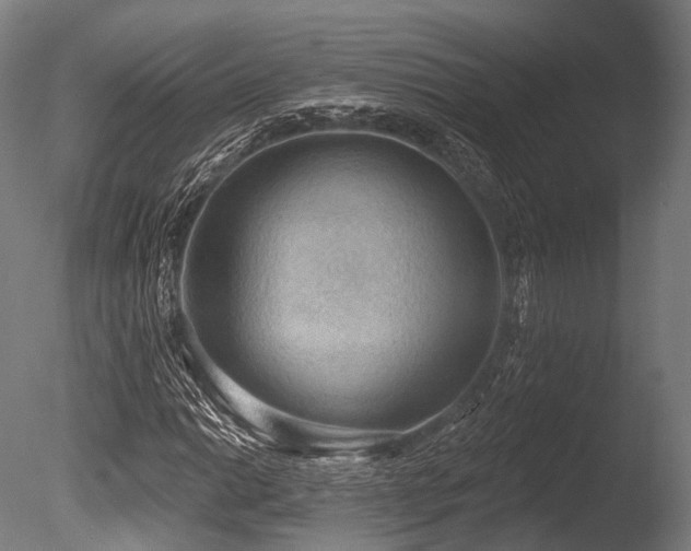 X0000086001014200703231139