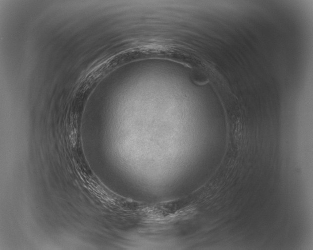 X0000086001015200703231139