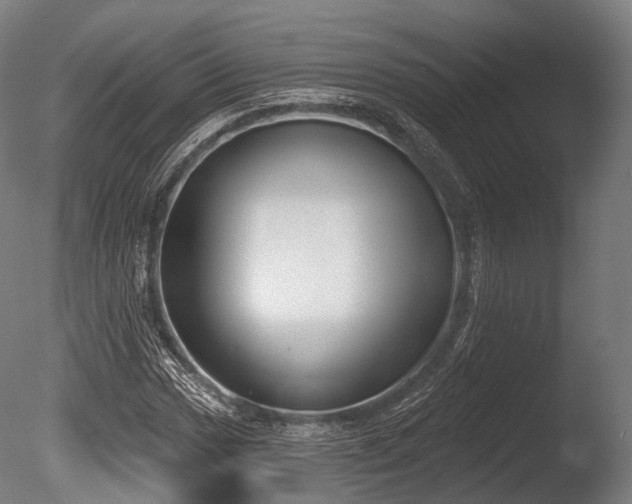 X0000086001017200703231139