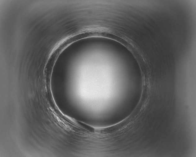 X0000086001022200703231139