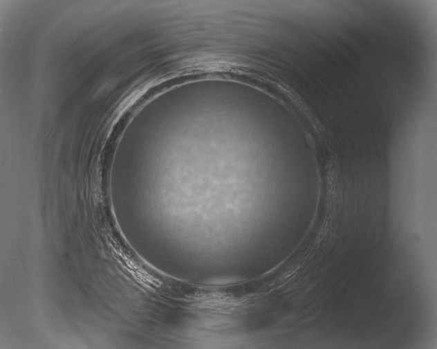 X0000086001023200703231139
