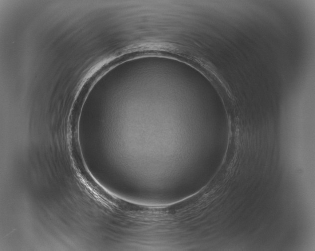 X0000086001024200703231139