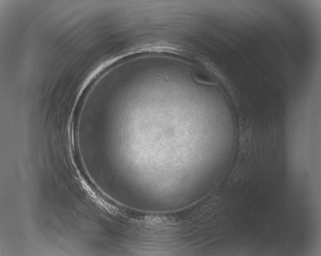 X0000086001032200703231139