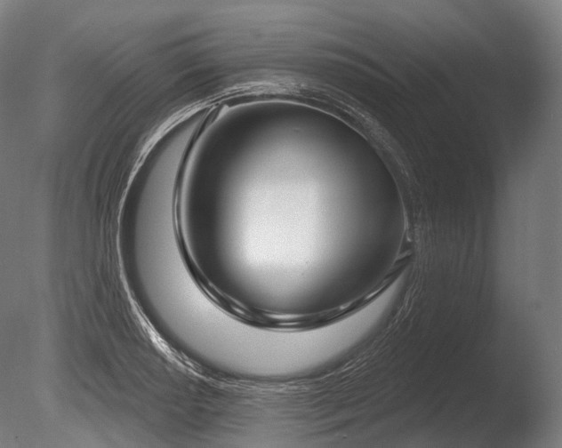 X0000086001034200703231139