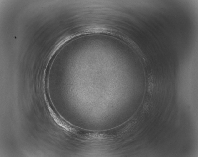 X0000086001039200703231140