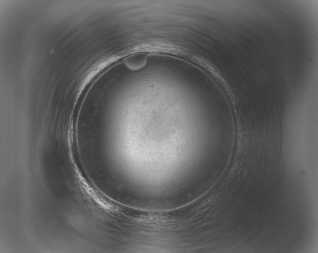 X0000086001040200703231140