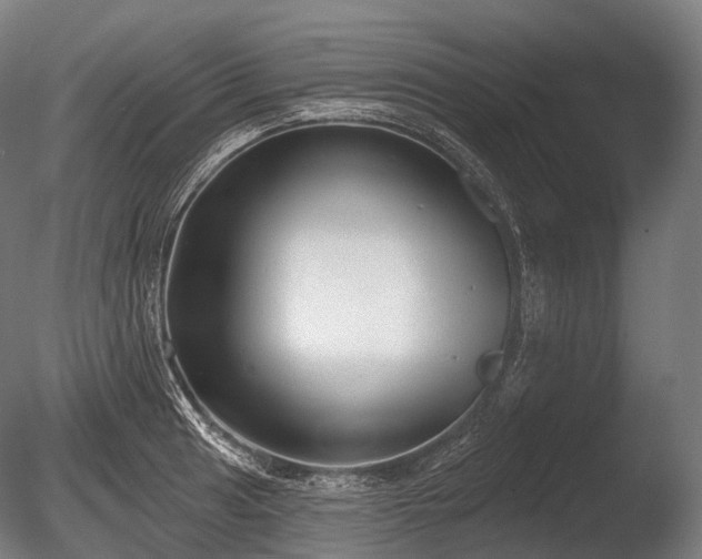 X0000086001041200703231140