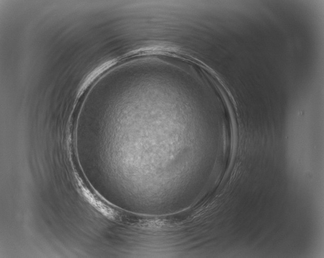 X0000086001042200703231140