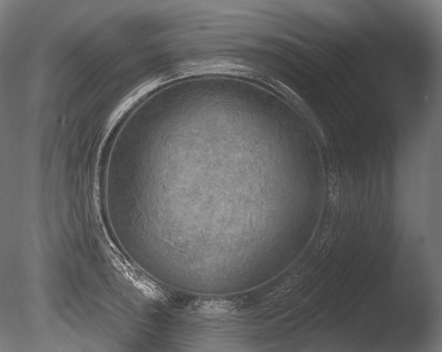 X0000086001043200703231140