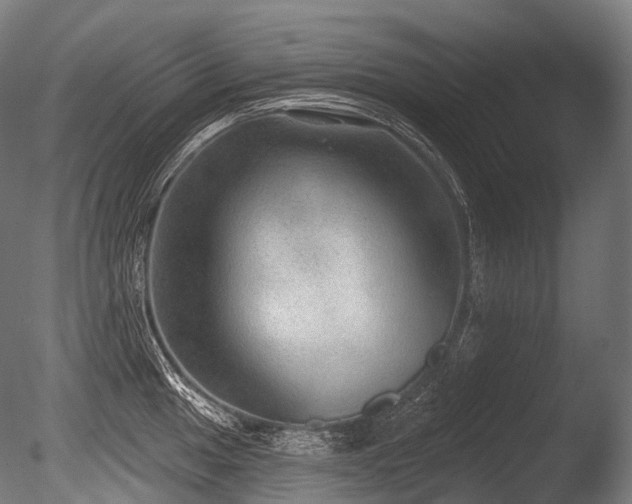 X0000086001049200703231140