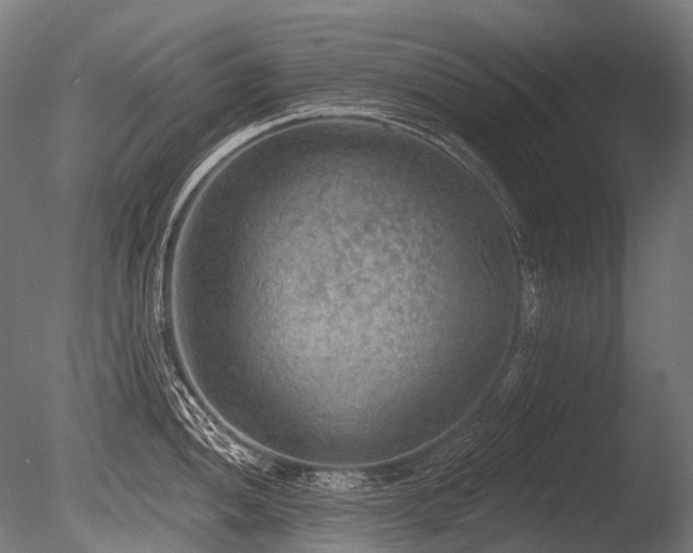 X0000086001052200703231140
