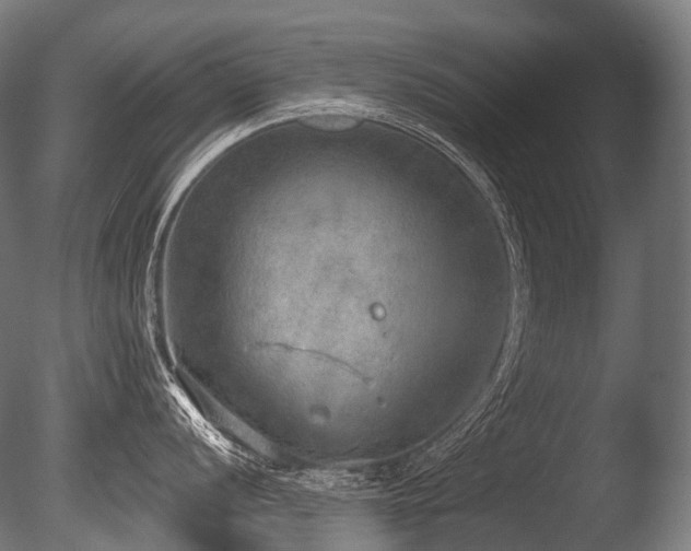 X0000086001056200703231140
