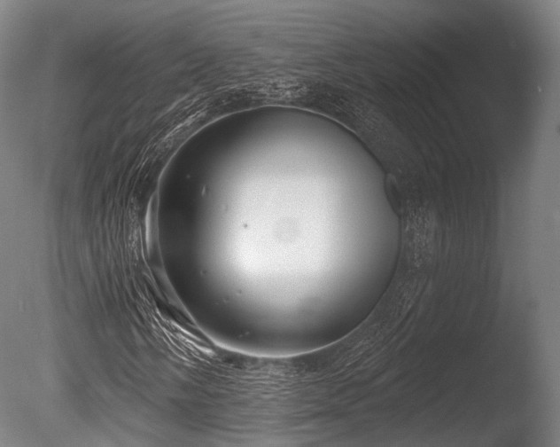 X0000086001058200703231139