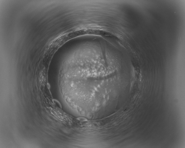X0000086001063200703231139