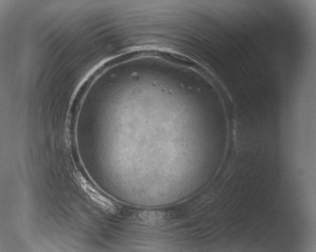 X0000086001068200703231139