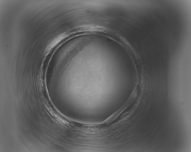 X0000086001071200703231139