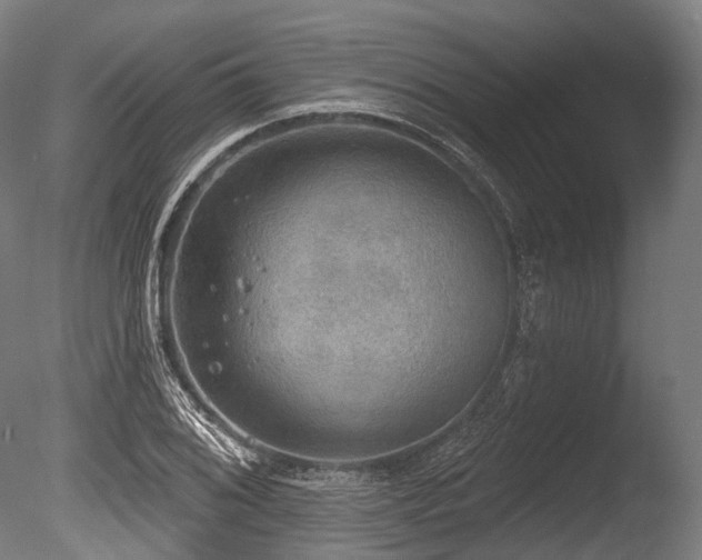 X0000086001076200703231139