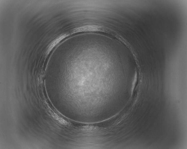 X0000086001081200703231139
