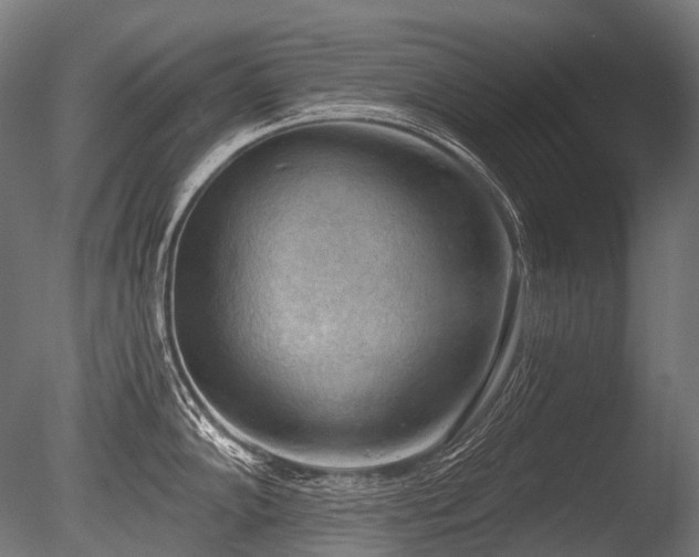 X0000086001102200703231138