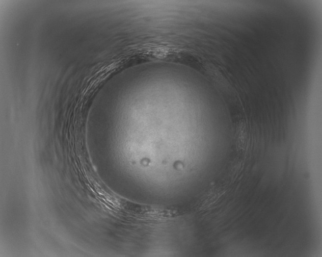 X0000086001105200703231137