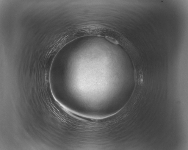 X0000086001108200703231137
