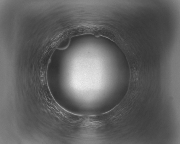 X0000086001109200703231137